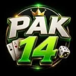PK14 Game APK Download - Real Money Earning App Pakistan 2026